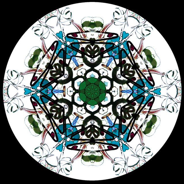 限定7/8 万華鏡 チャールス・カラディモス 「ギャラクシー」カレイドスコープ 限定7/8 万華鏡 チャールス・カラディモス 「ギャラクシー